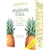 ANANAS CELL Fl.Conc.15Bust.EBM