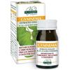 GYMNEMA ESTRATTO TIT 60PAST