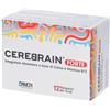 Cerebrain Forte 12 Flaconcini da 10 ml