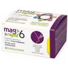 MAG*6 Rapid 20 Bust.