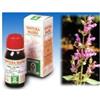 SP.SALVIA OFF.TM 50ml