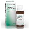 Berberis -Homaccord Gocce -Heel 30ml