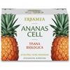 ERBAMEA ANANAS CELL Tis.Biol 20BustEBM