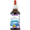 ECOSILVER 100 ML