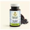 MAHARISHI COLOMAP (MA 813) 60 Compresse 30g