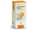 GHEOS AURICULARIA 90 Cps