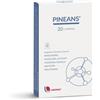 PINEANS 20 COMPRESSE