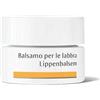 DR HAUSCHKA Bals.Labbra 4,5g