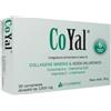 COYAL 30 Cpr 1300mg