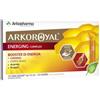 ARKOROYAL ENERGING COM S/Z10FL