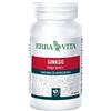 ERBA VITA GROUP SPA GINKGO BILOBA 60CPS 350MG ERBA scad 5/24