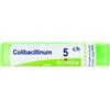 BOIRON BO.COLIBACILLINUM 5CH GR