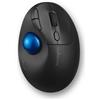 Kensington Mouse Kensington Pro Fit Ergo TB450 Wireless Nero [K72194WW]
