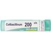BOIRON BO.COLLIBACILLINUM 200CH GR
