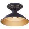 Westinghouse Lighting 63701 - Apparecchiatura da soffitto Iron Hill per montaggio semi-rasente da interno da 22 cm a una luce, finitura in bronzo lucidato a olio con punti brillanti