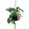 Leaf Design UK - Vaso realistico per fogliame artificiale, da appendere, 85 cm