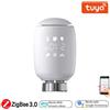 Tuya Valvola Termostatica Smart ZigBee per Radiatori