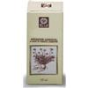 EQUISETO ESTR ANALCO 50ML 794