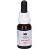 Wild Potato Bush Australian 15 ml