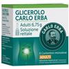 CARLO ERBA OTC Srl Glicerolo Carlo Erba Adulti 6 Microclismi 6,75 G