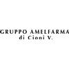 GRUPPO AMELFARMA di Cioni V. Amelfarma Amelflex Integratore Alimentare 30 Compresse