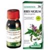 Specchiasol Gemmosol 36 Ribes Nero Macerato glicolico 100 ml