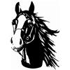 Finest Folia K039 - Adesivo per auto, 30 x 21 cm, motivo: cavallo, motivo: animali, colore: nero lucido