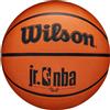 Wilson Pallone mini basket wilson jr nba misura 4