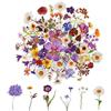 Abeillo Set di 120 adesivi floreali per scrapbooking, fiori naturali estetici, adesivi floreali trasparenti per scrapbooking, artigianato, biglietti, computer portatili, (60 stili)