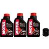 Motul Kit Tagliando moto 3 litri olio Motul 7100 10W30 + filtro 204