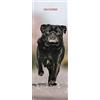 Magnet & Steel Calendario 2024 Pug Slim