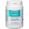 BIOTEKNA SRL MELCALIN CREATIN 190 G