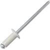 AERZETIX - C57108 - Set di 50 rivetti ciechi Ø4x8mm colore avorio RAL 1015 - in acciaio/alluminio - rivetto pop a rottura stelo