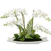 Flair Flower Phalaenopsis - Orchidea artificiale con vaso in ceramica, fiore artificiale