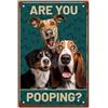 CREATCABIN 3Dogs Targa in metallo vintage con scritta in inglese Are you poping kind, poster con scritta in lingua inglese Are you poping (lingua italiana non garantita)