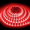 ShineBurky Striscia LED 12V 5 Metri Rosso, Strisce LED Adesive | SMD5050 300LEDs Luci LED Strip Light Flessibili Tagliabile per Camera Cucina Scale TV Decorazione (senza Alimentatore)