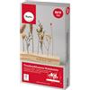 Rayher Kit listello l. fiori secchi, FSC 100%, 22,7x4x17cm, box, 85484000