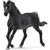 SCHLEICH HORSE CLUB | Stallone Arabo 13981 | Cavallo dettagliato | Regalo per bambine e bambini | Figura decorativa e da collezione | Giocattolo cavalli 5 anni | 5 x 15 x 10 cm