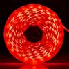 iNextStation Striscia LED Rosso 5M, 12V SMD2835 300LEDs Nastro LED Tagliabile Flessibile IP65 Impermeabile Strisce Luci LED per Camera da Letto, Decorazione Casa, Cucina (Senza Alimentazione)