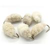BestCity Limited Confezione di sei Dimensioni Fly Fishing Xtralarge pane 4 per pesca alla carpa trota Fly Mullet Pack # 44