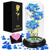 GUHAOOL Rosa Eterna, La Bella e La Bestia Rosa, Rosa per Sempre in Cupola di Vetro, Rosa Eterna con Base Pino Luci LED, Idee Regalo Fidanzata Donna Regali, Mamma, Anniversario Regali Decorazioni
