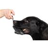 DINGO GEAR WWW.DINGOGEAR.COM 1977 Dingo Gear S00229 - Giocattolo in Vera Pelle, Fatto a Mano, per addestramento e Gioco del Cane, Colore: Nero