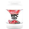 WHY SPORT WPC 100% WHEY - Proteine Whey - Proteine in Polvere per la Massa Muscolare - Senza Glutine - Gusto Cookies & Cream - 2 Kg