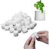 Inception Pro infinite - 50 Spugne per Coltura idroponica - Spugna piantare Giardinaggio Fuori Suolo - spugnette - Coltivazione Verdure - Giardino Piante - Serra - 38 mm x 28 mm
