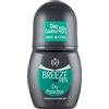 Breeze Deodorante Roll-On Dry Protection, 50ml