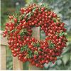 Paper+Design Tovaglioli carta Rosehip Wreath 33x33 cm 20u.