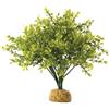 Exo Terra Cespuglio Decorativo PT-2994 Boxwood Bush