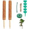 Newpop 2 Pezzi Palo Totem in Fibra di Cocco per Piante Rampicanti 40 cm, Bastone Muschiato con 5 Etichette, Corda di Iuta, Sostegno Monstera, Cocco Bastoncino di Muschio, Bastoncini di Supporto