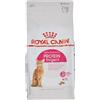 ROYAL CANIN Feline Protein Richiesta 42-2000 gr