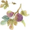International Graphics - Immagine finita - Lisa, Audit - ''Orchard Bloom III''- 30 x 30 cm - Stampa diretta su acrilico